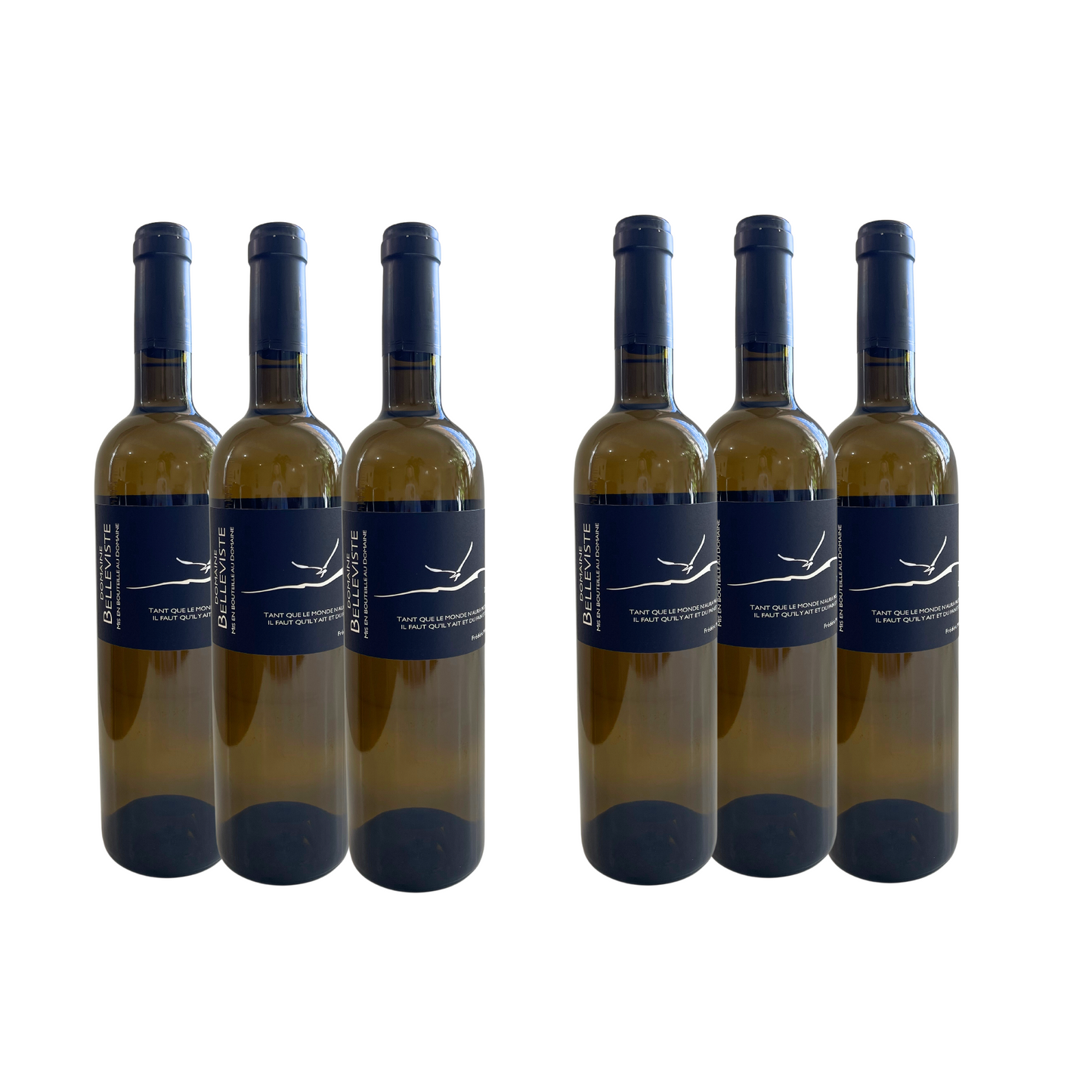 Domaine de Belleviste Vin de France Blanc 2021